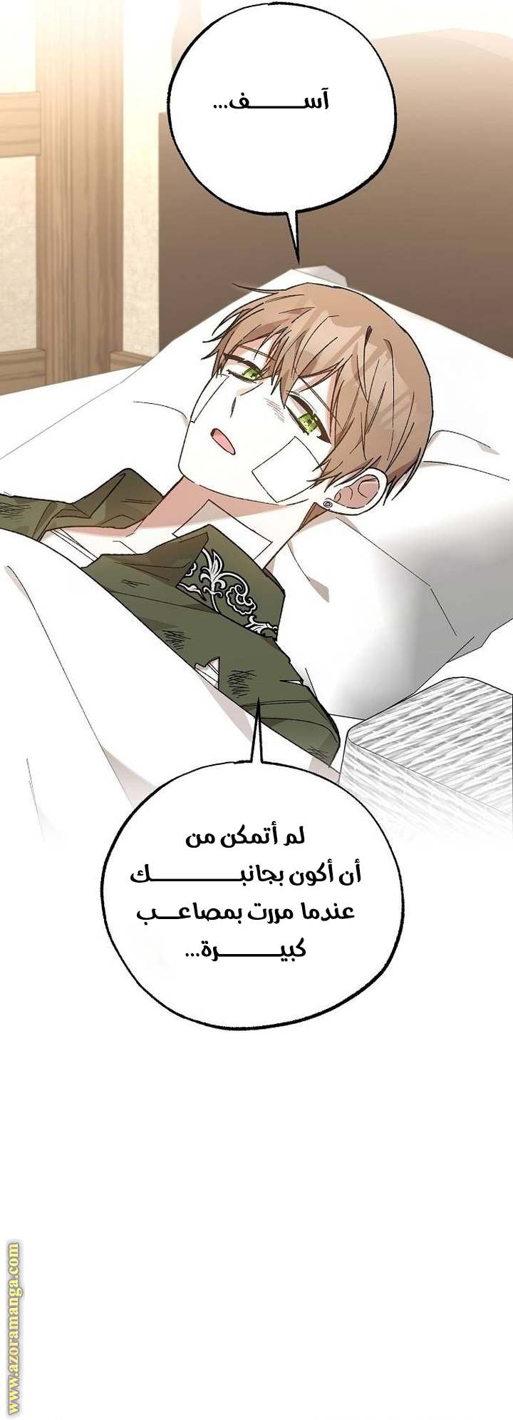 الصفحة 30