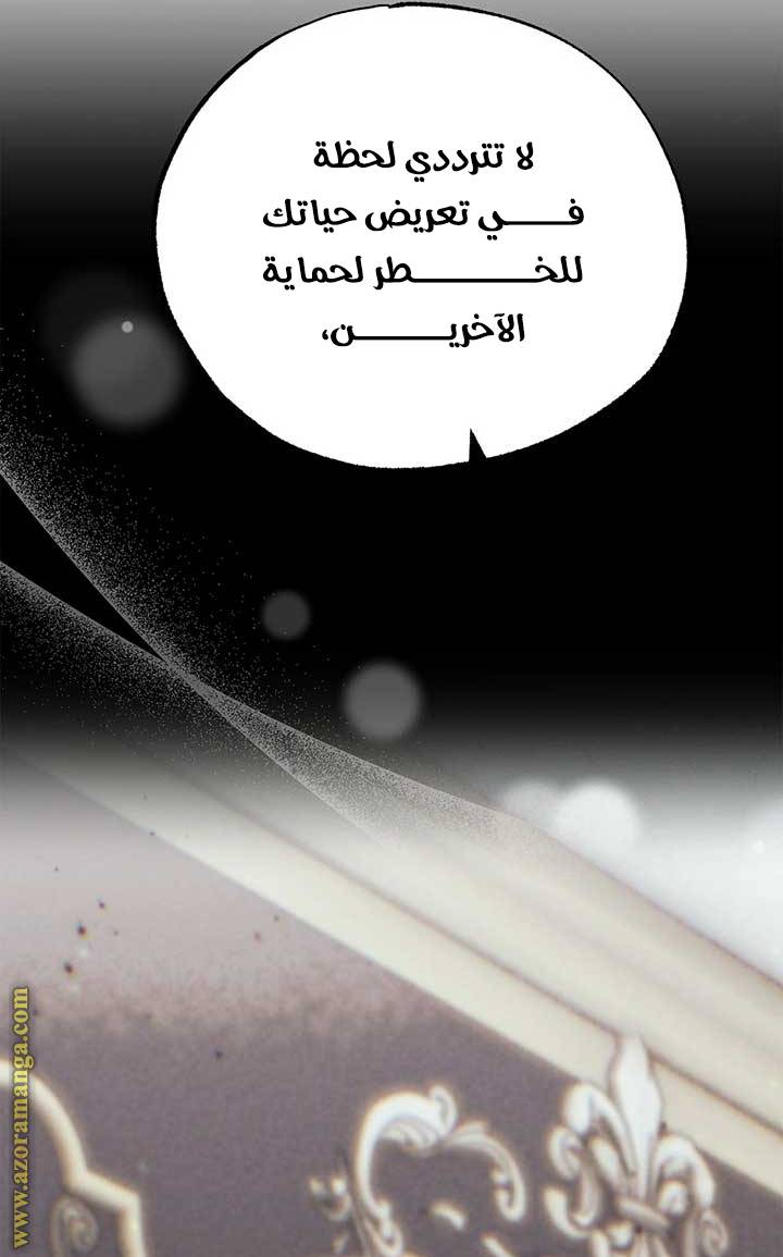 الصفحة 46
