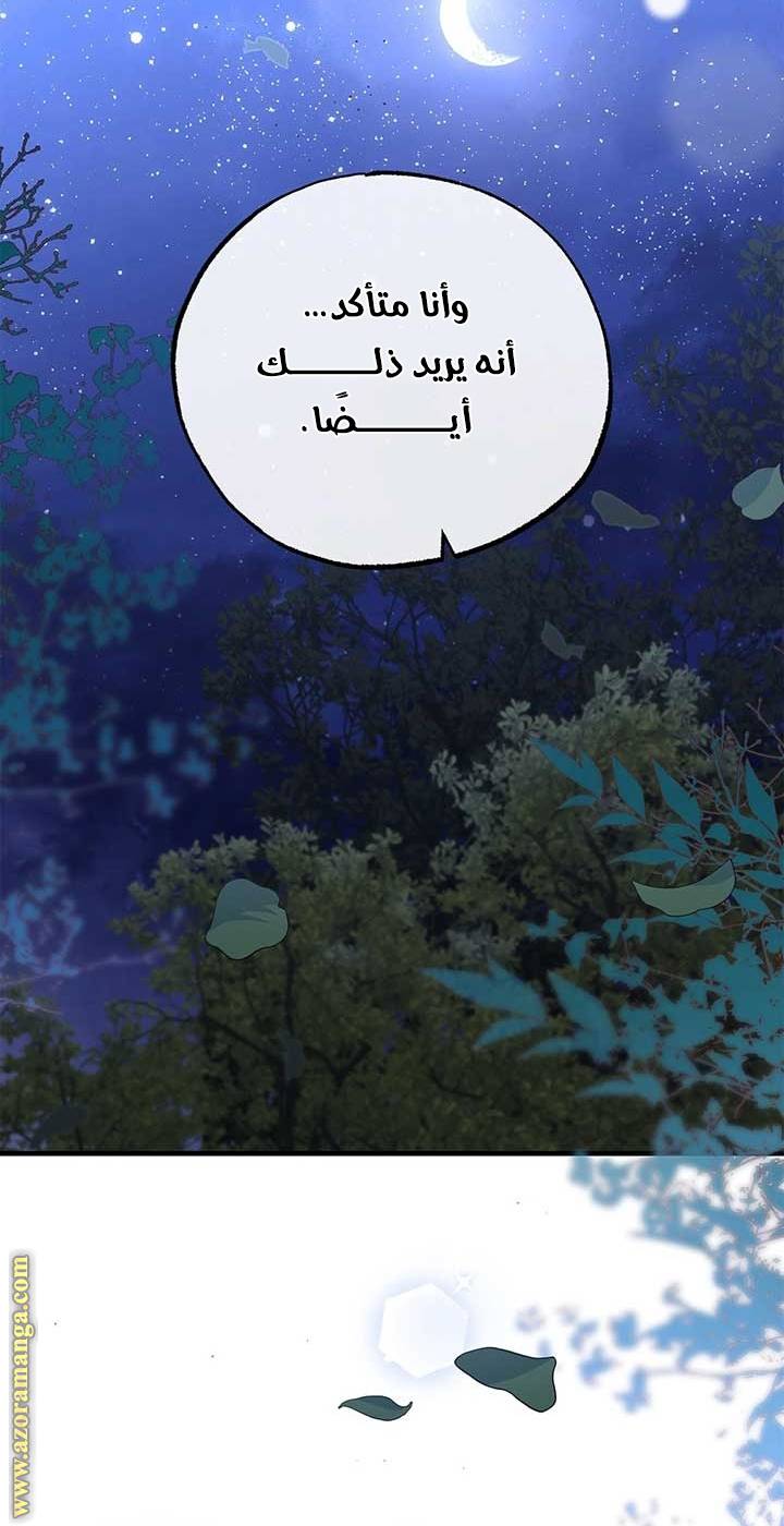 الصفحة 49