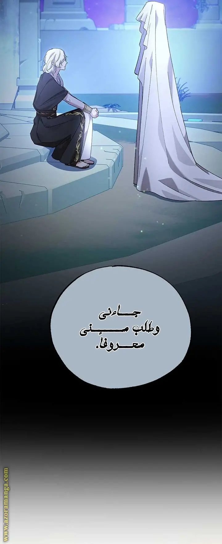 الصفحة 25