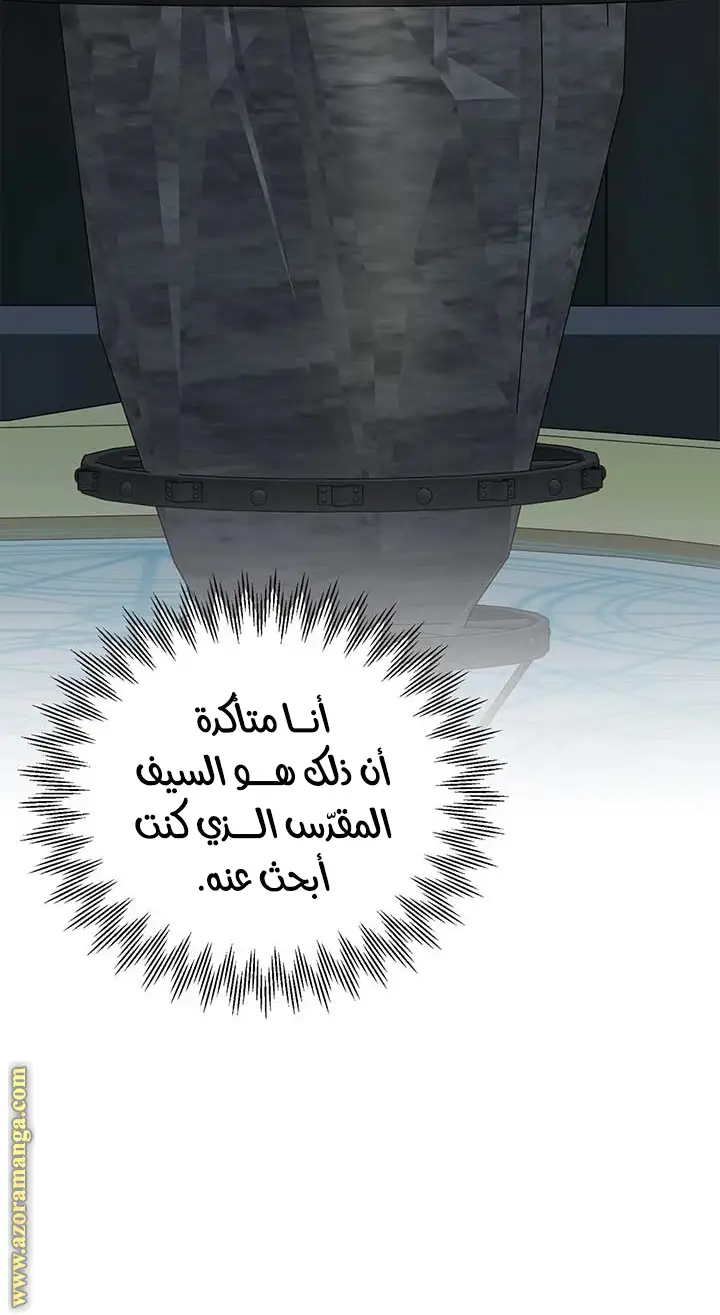 الصفحة 45