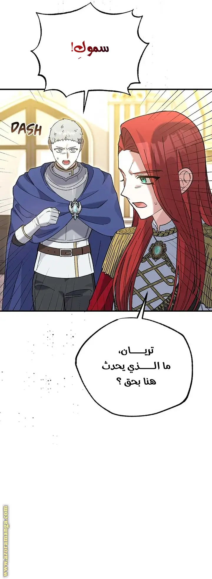 الصفحة 43