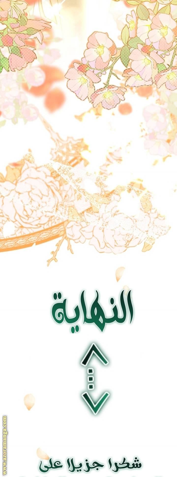 الصفحة 71
