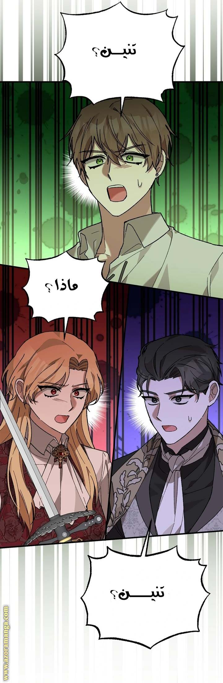 الصفحة 17
