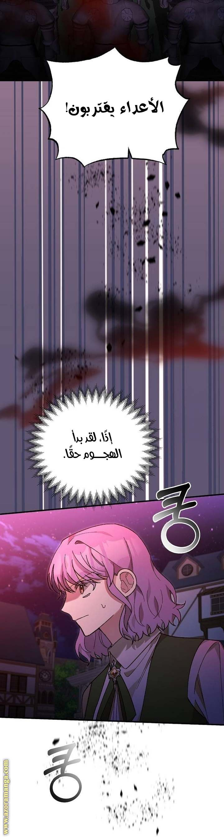 الصفحة 27