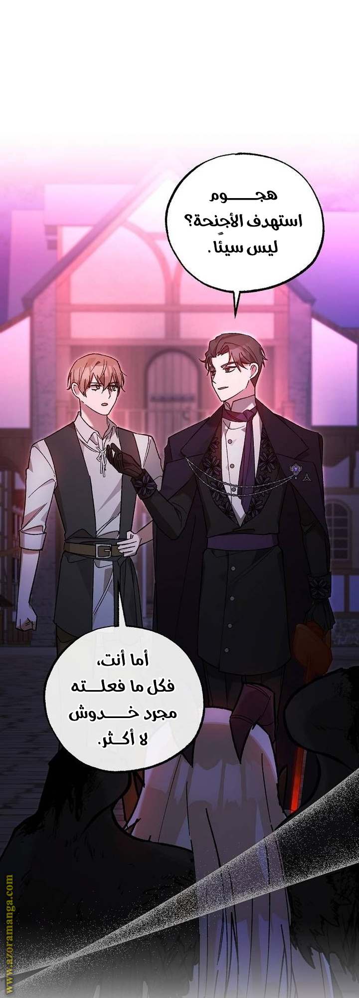 الصفحة 47