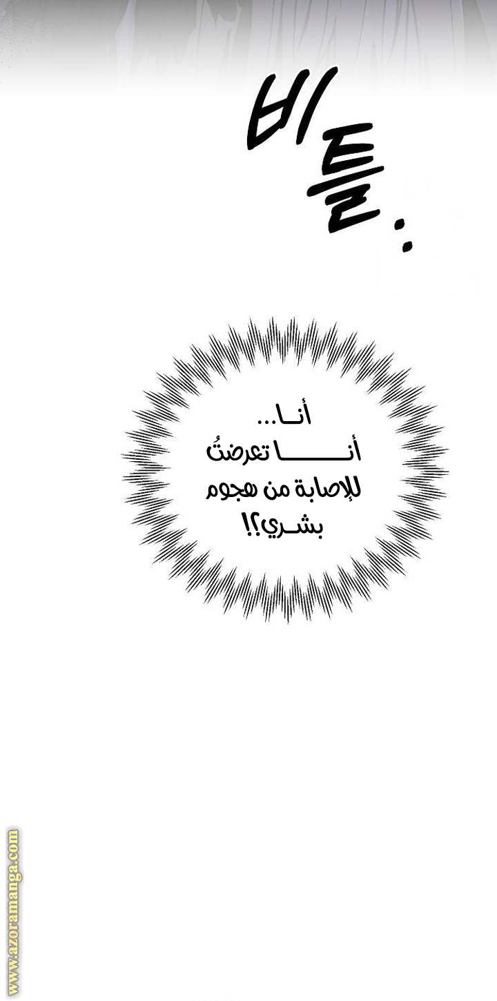 الصفحة 48