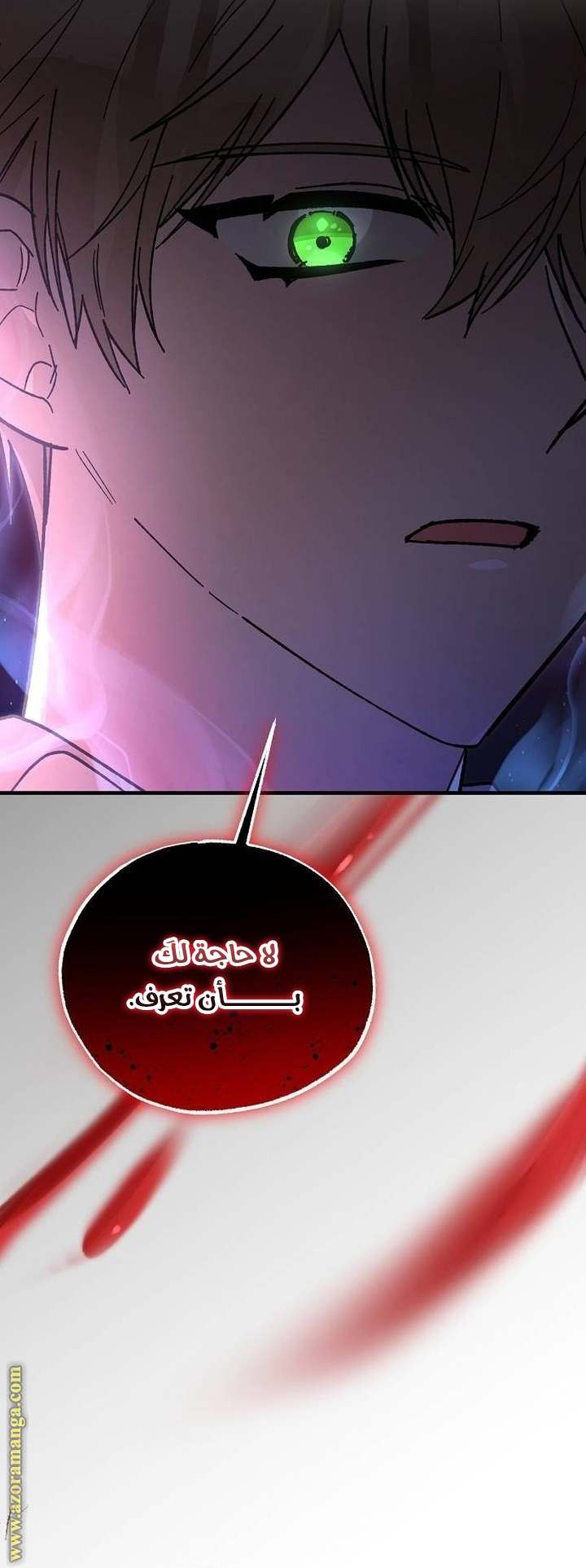 الصفحة 54