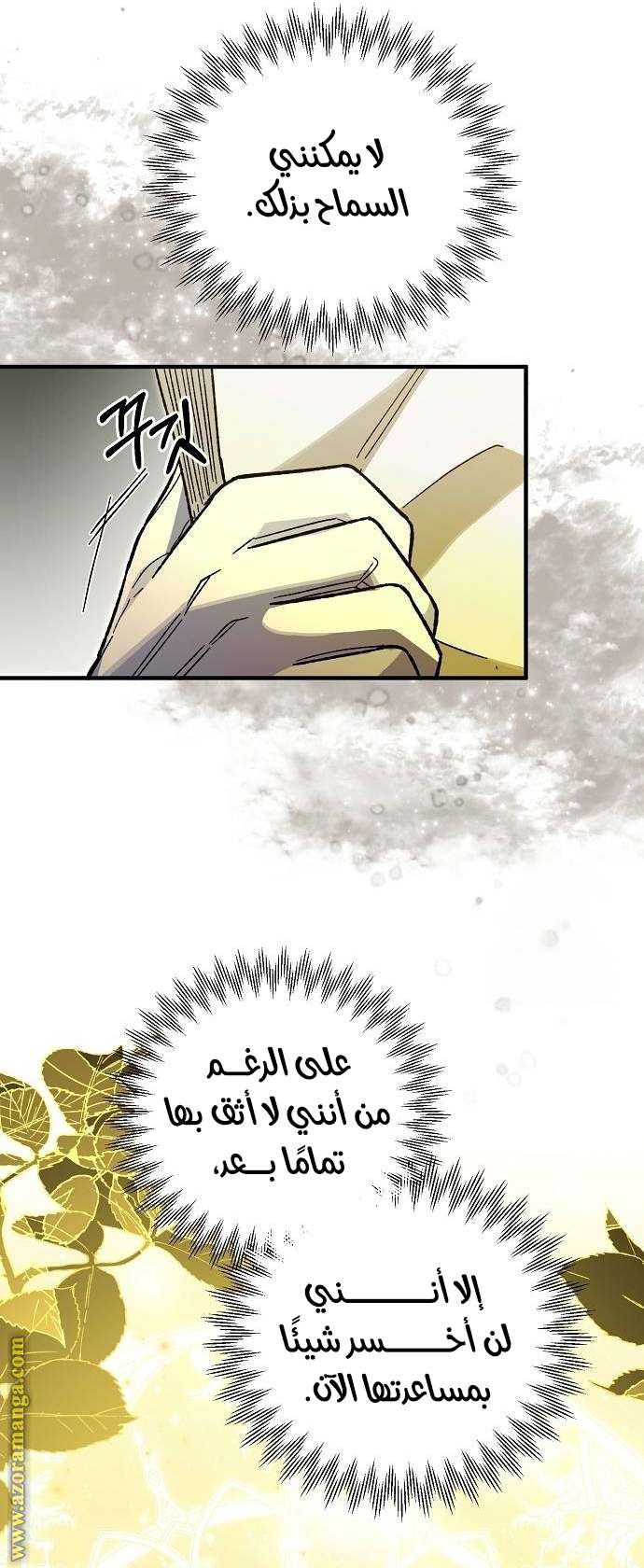 الصفحة 29