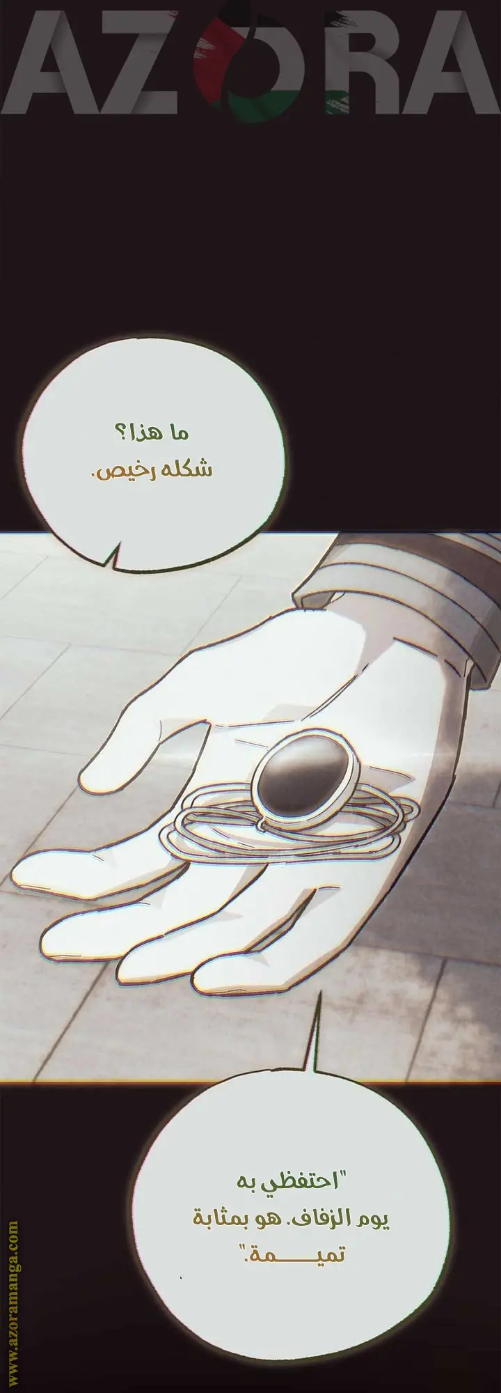 الصفحة 25