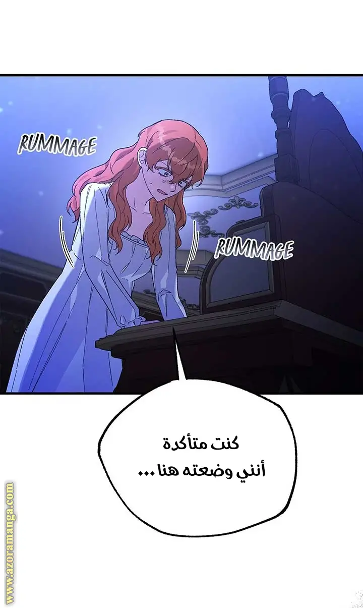 الصفحة 29