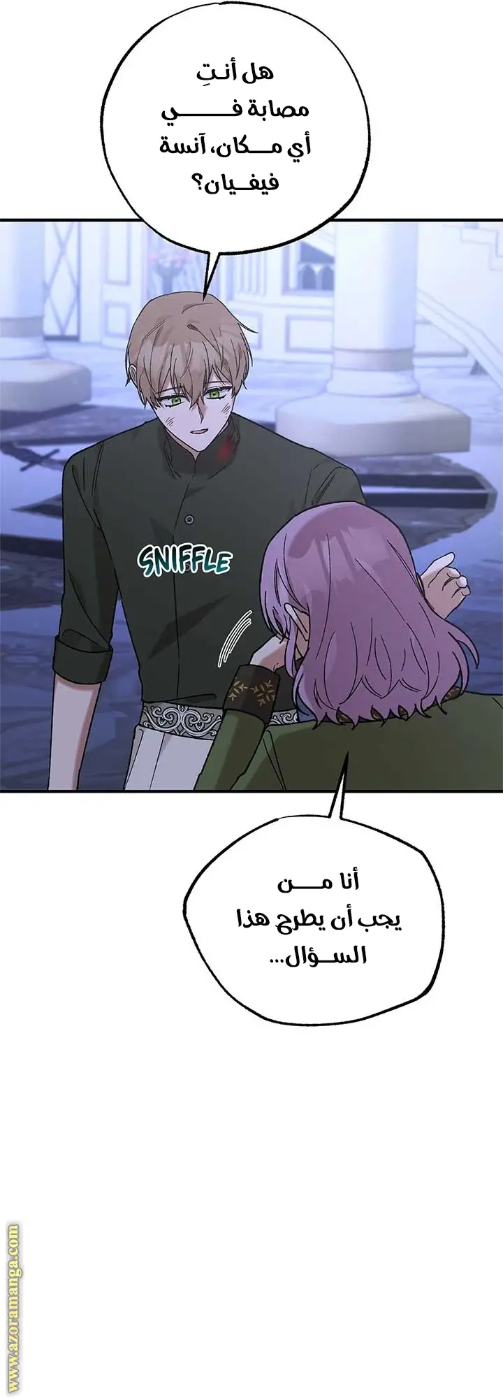 الصفحة 13