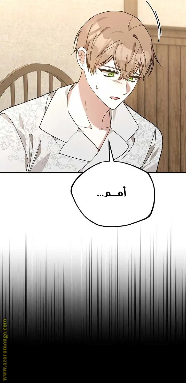 الصفحة 26
