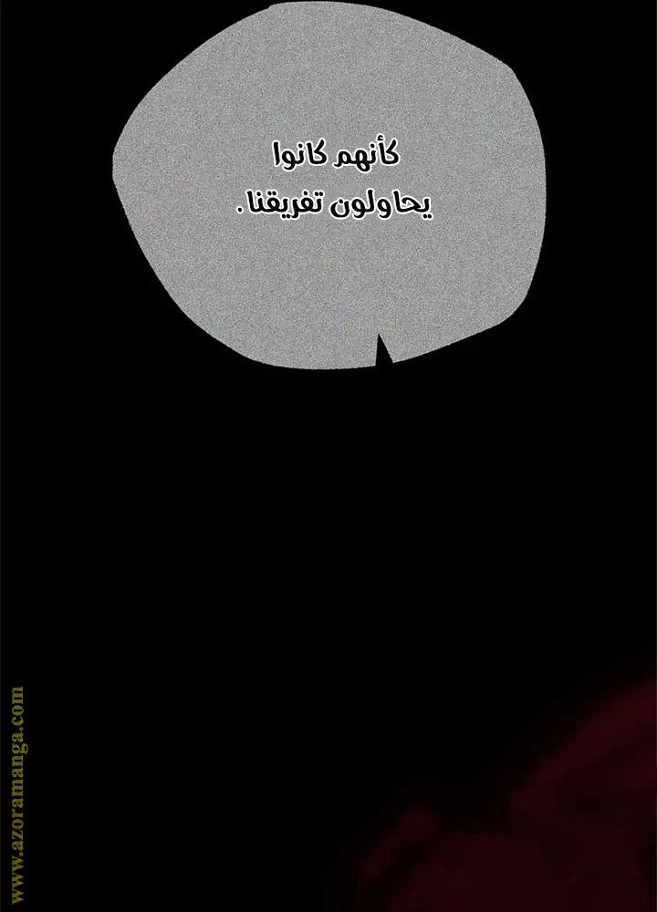 الصفحة 29