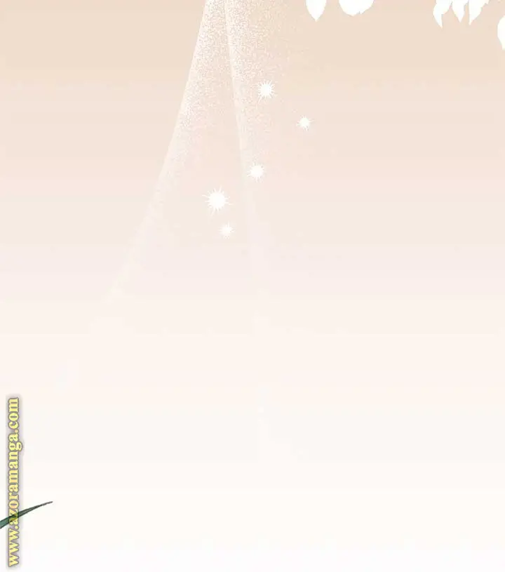 الصفحة 41