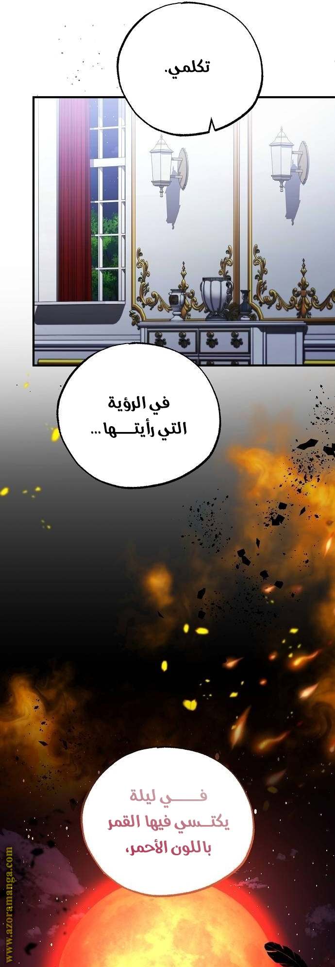 الصفحة 17