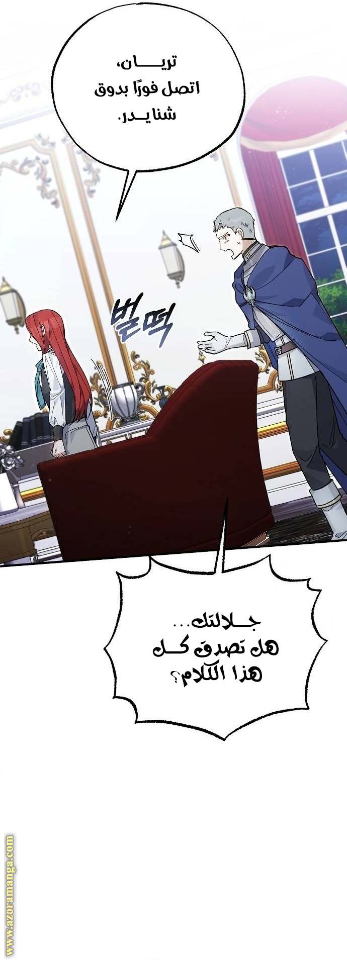 الصفحة 25