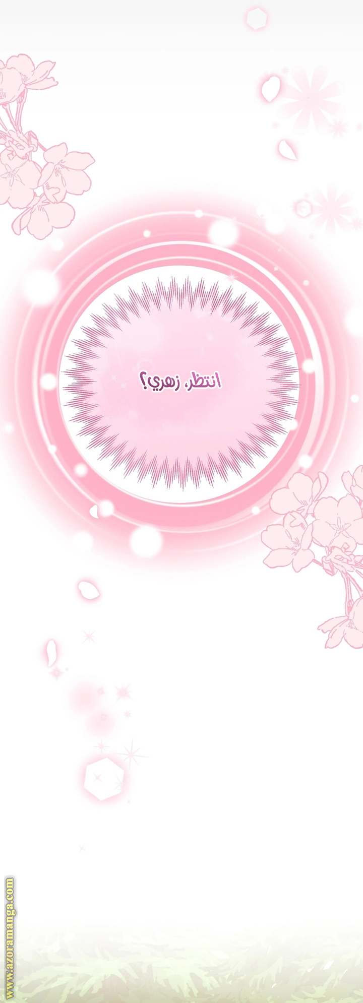 الصفحة 62