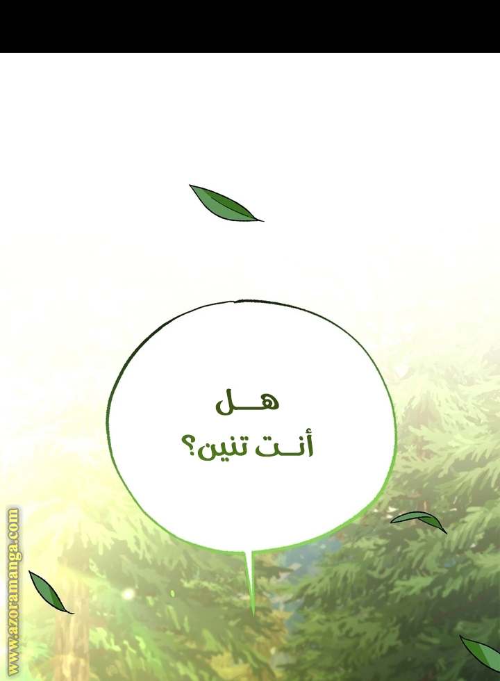 الصفحة 71