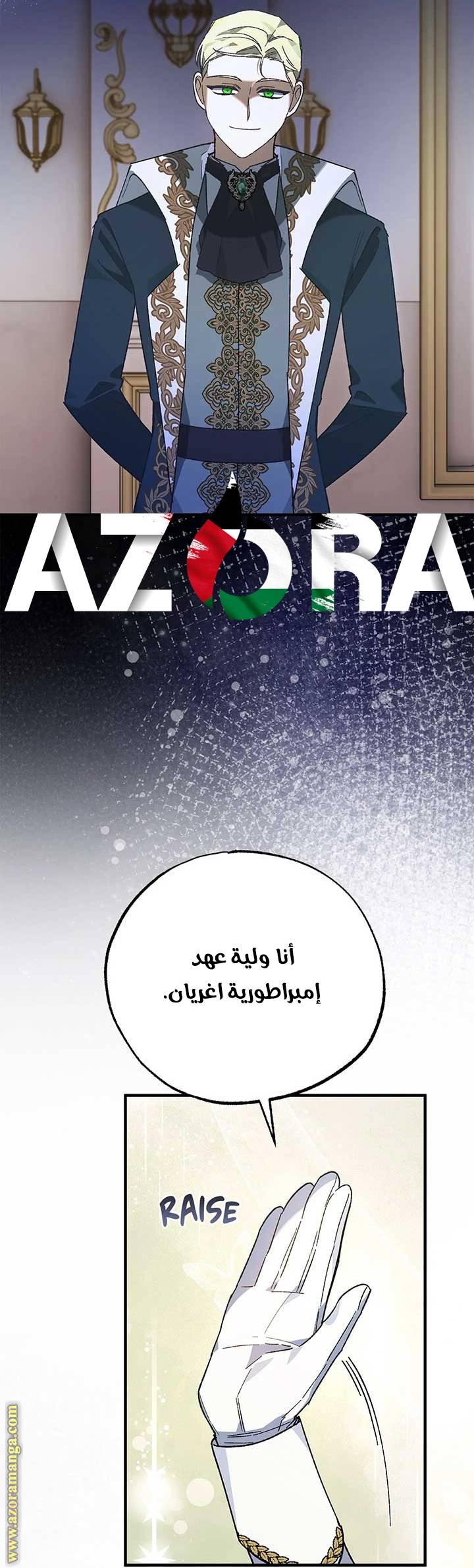 الصفحة 27