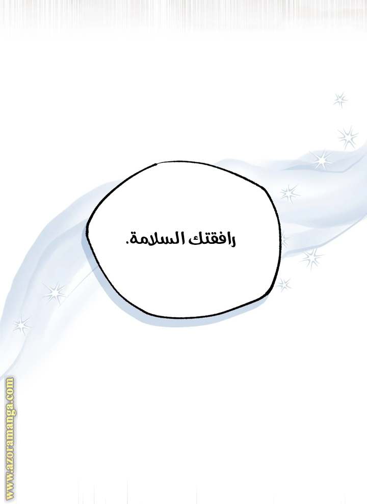 الصفحة 31