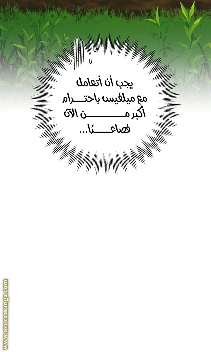 الصفحة 43