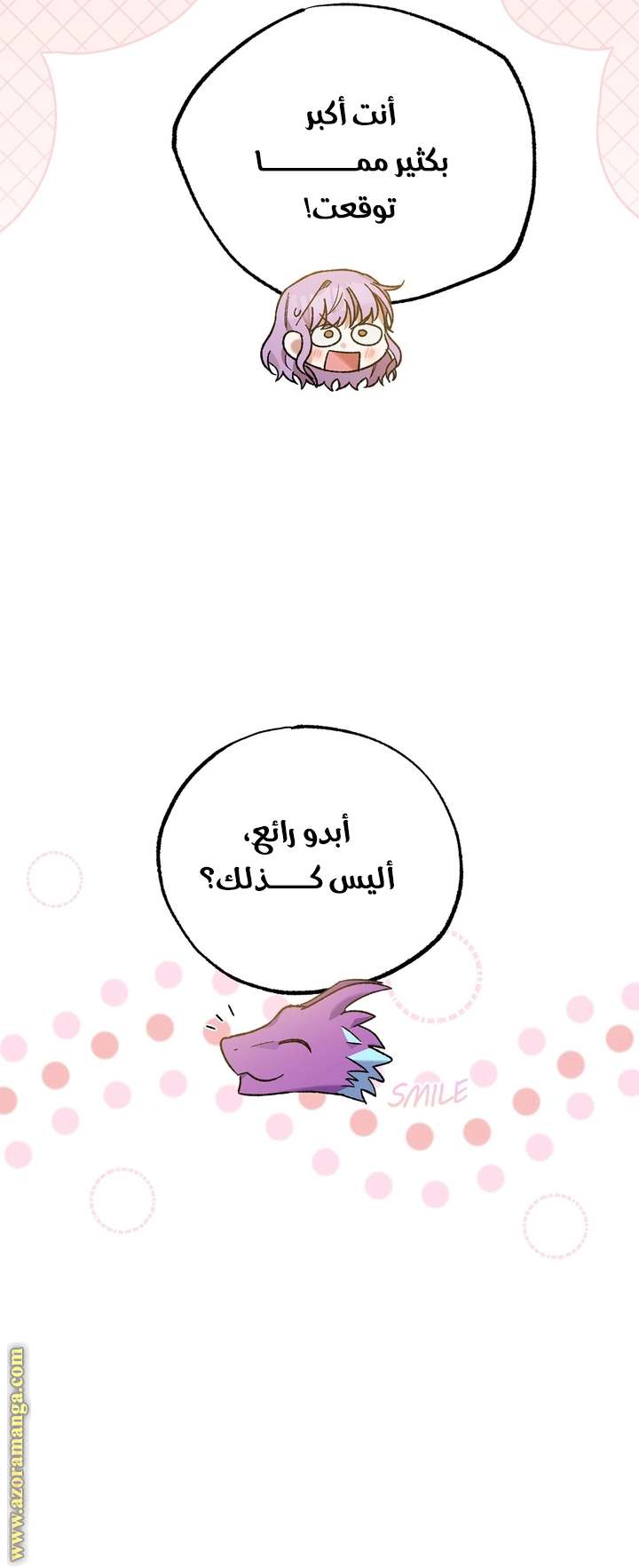 الصفحة 45