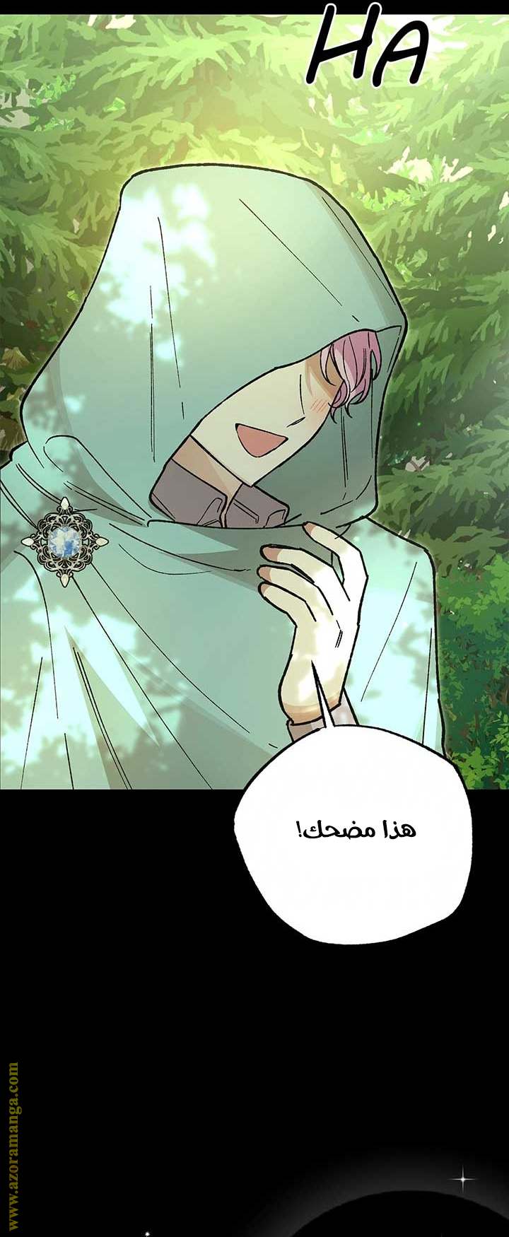 الصفحة 19