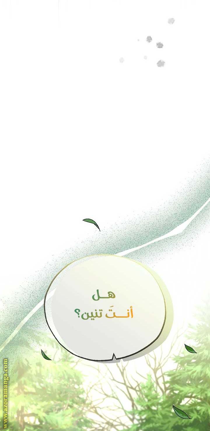 الصفحة 69