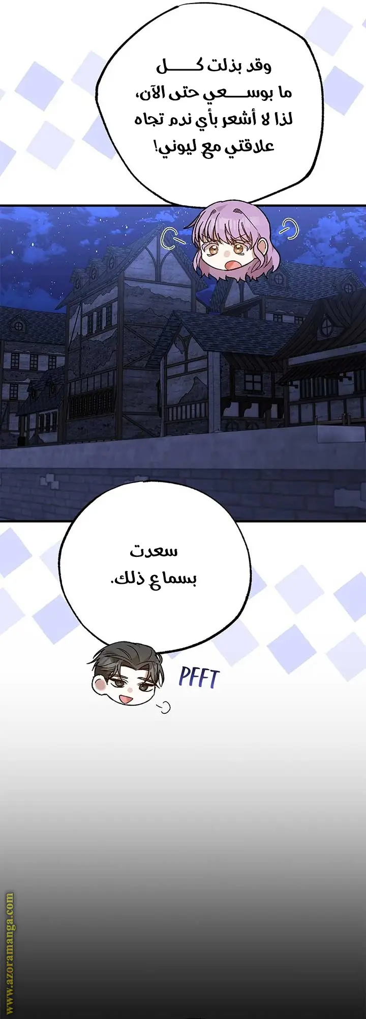 الصفحة 17