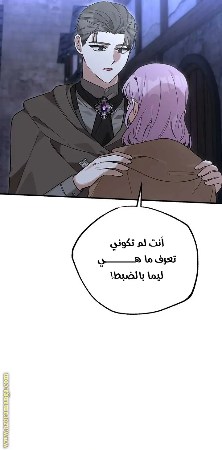 الصفحة 27