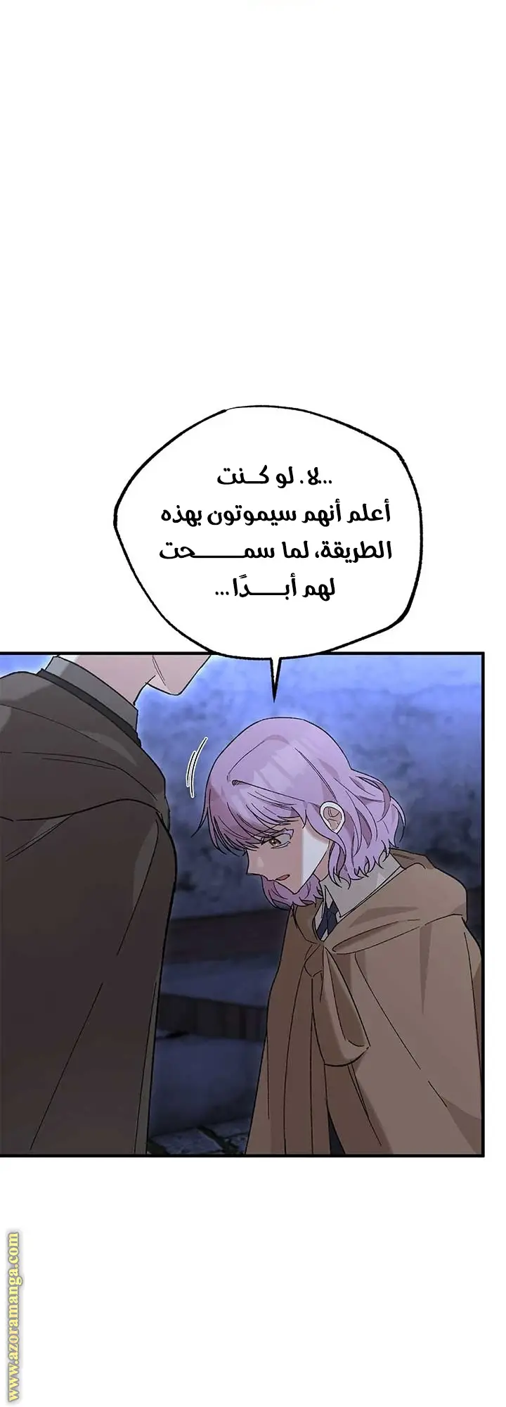 الصفحة 29