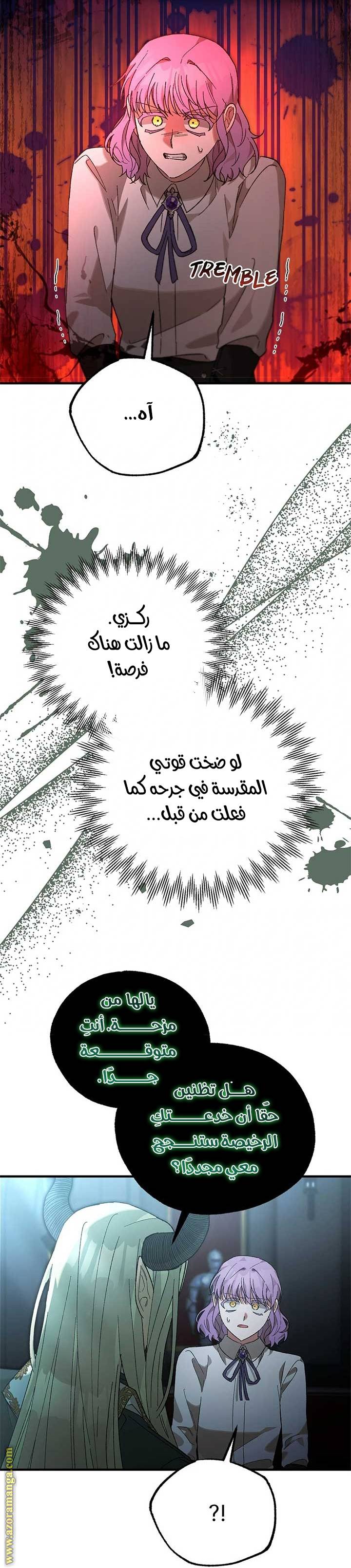 الصفحة 27