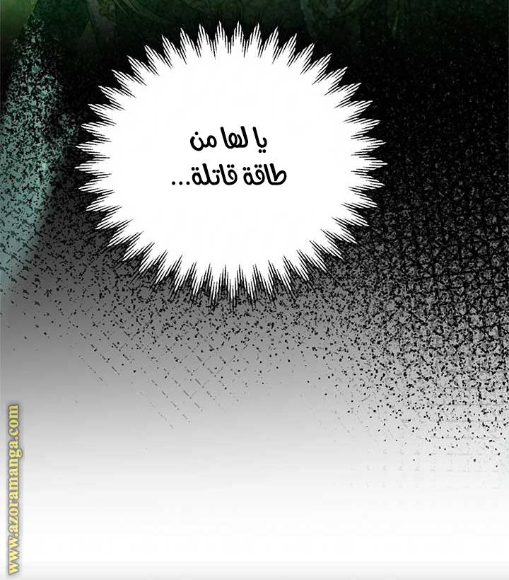 الصفحة 45