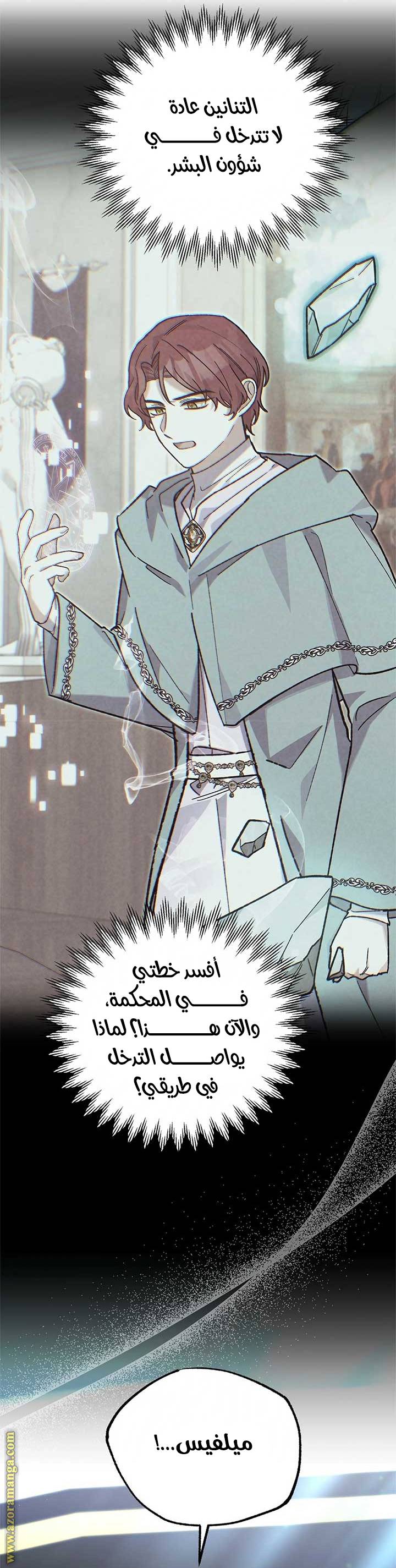 الصفحة 46