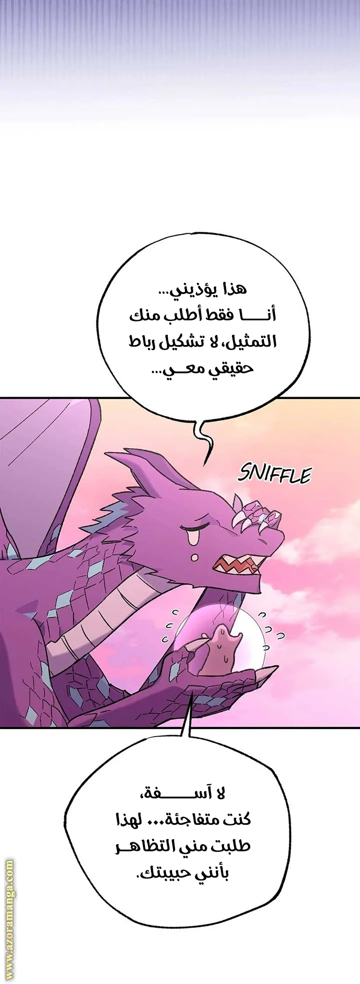 الصفحة 17