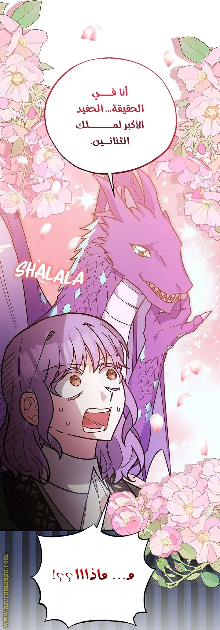 الصفحة 21