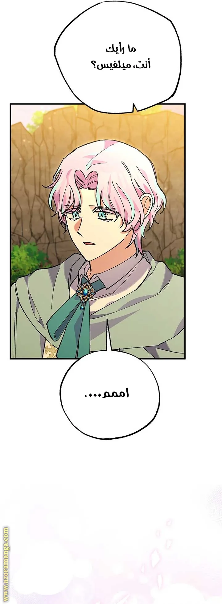 الصفحة 40