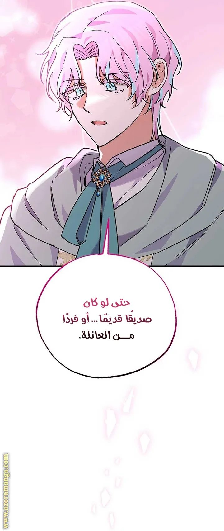 الصفحة 43