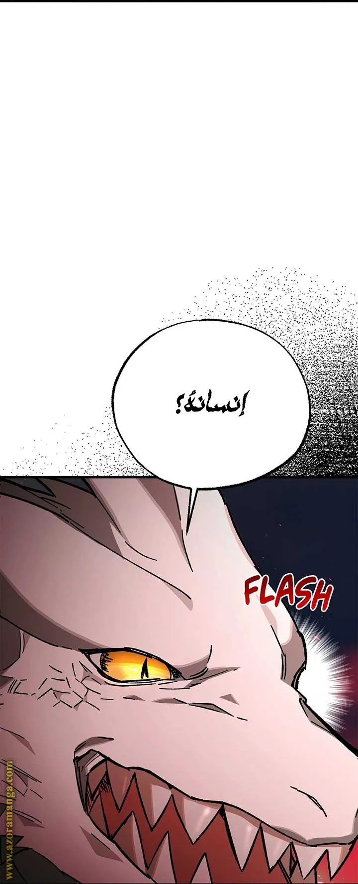 الصفحة 65