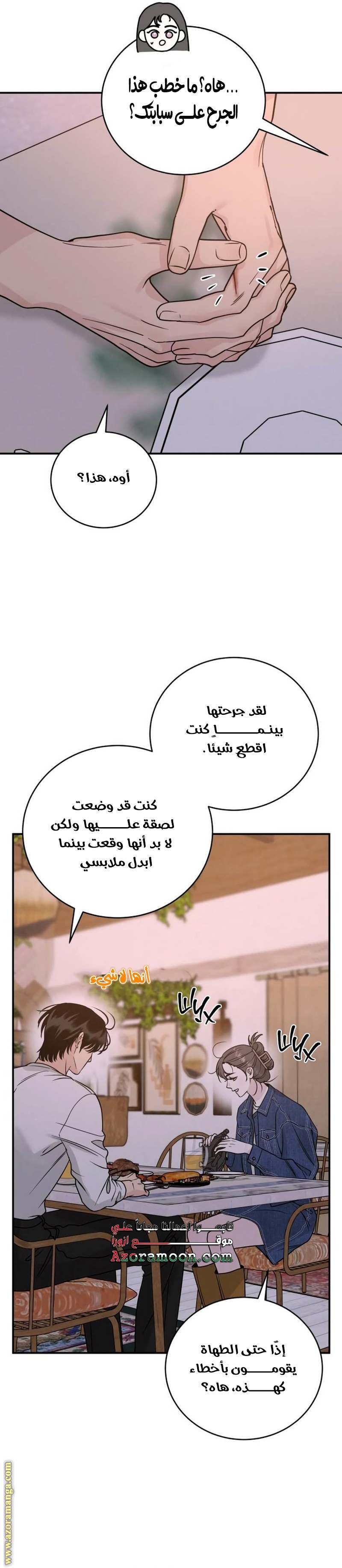 الصفحة 13