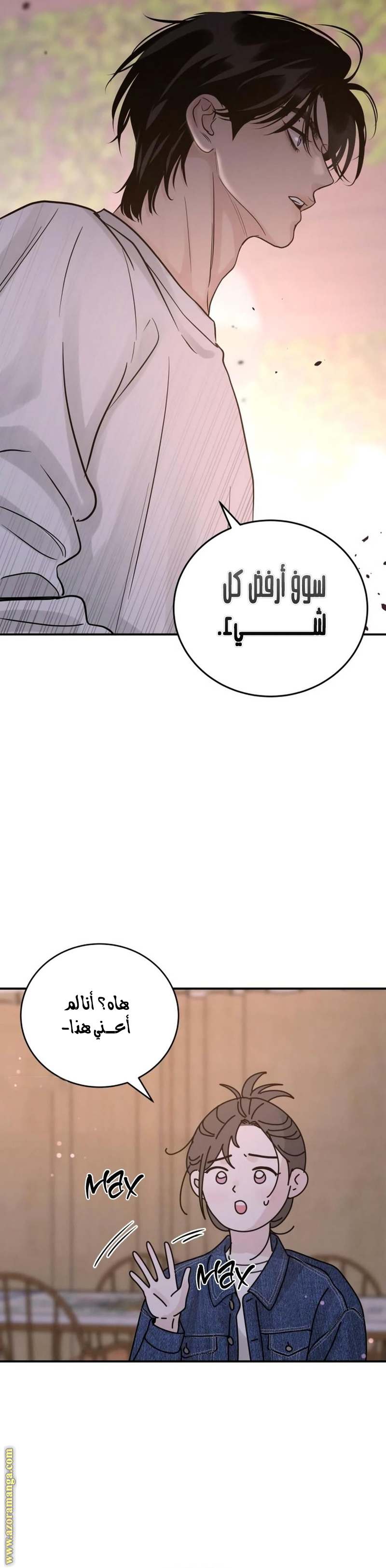 الصفحة 28