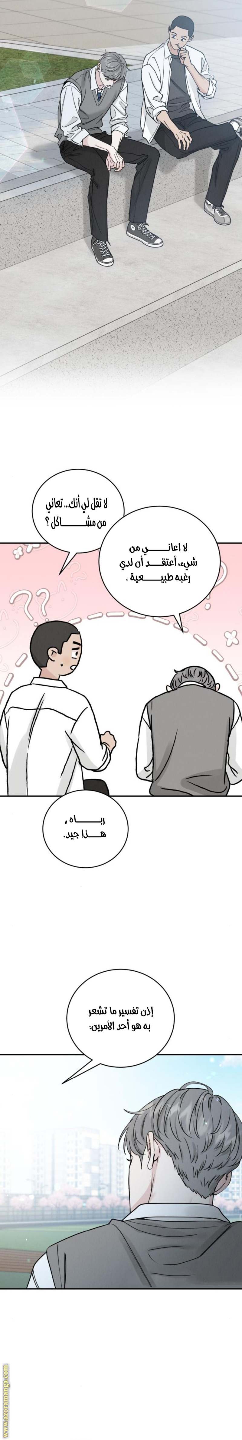 الصفحة 13
