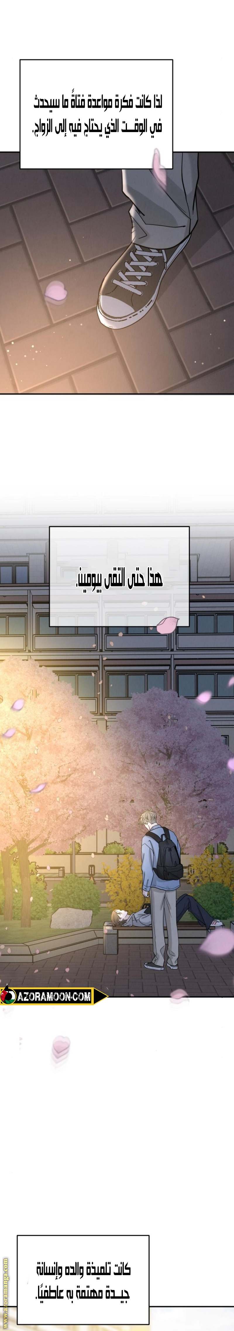 الصفحة 17
