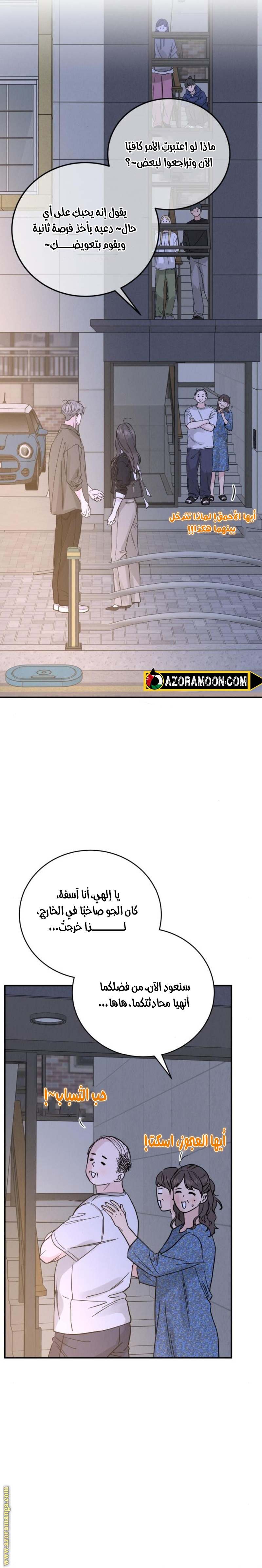 الصفحة 29