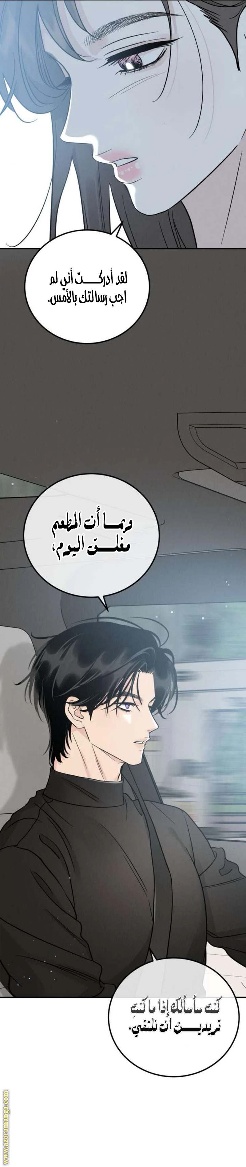 الصفحة 17