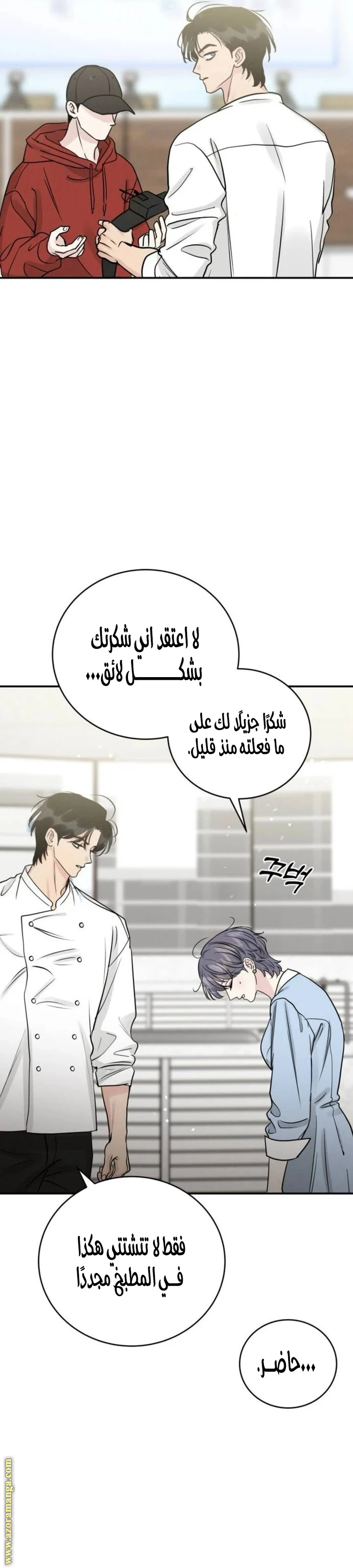 الصفحة 17