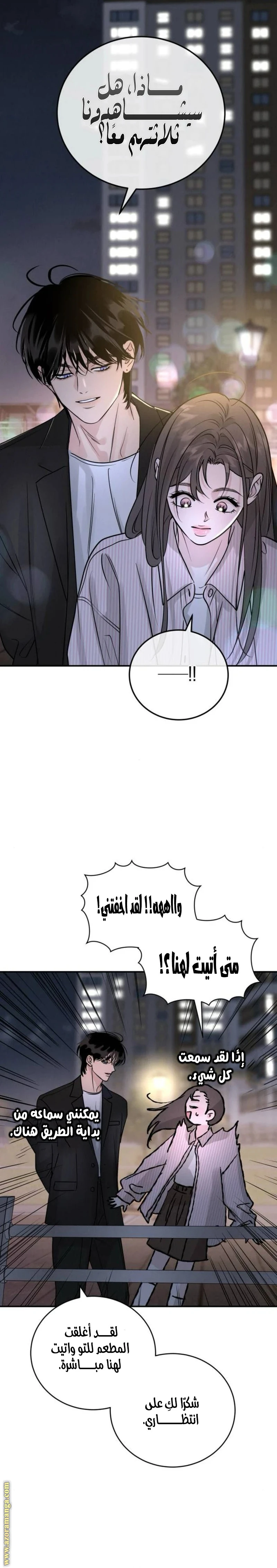 الصفحة 27