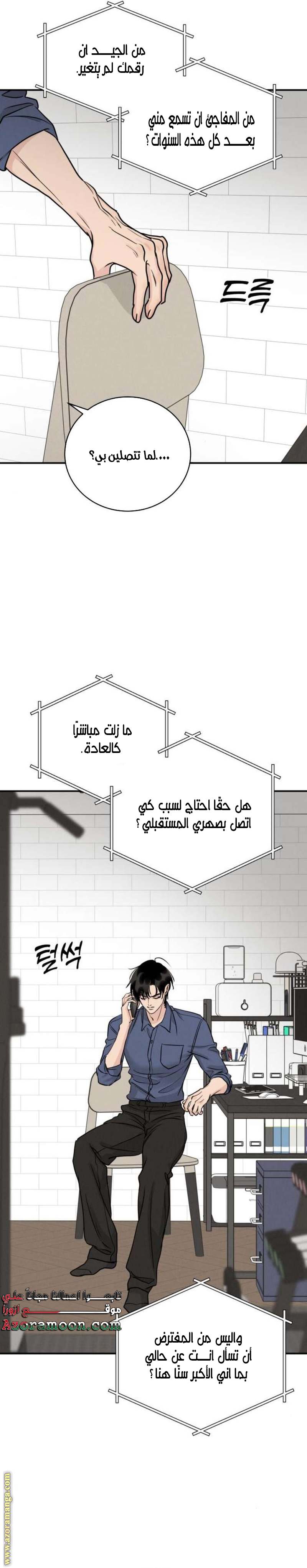 الصفحة 17