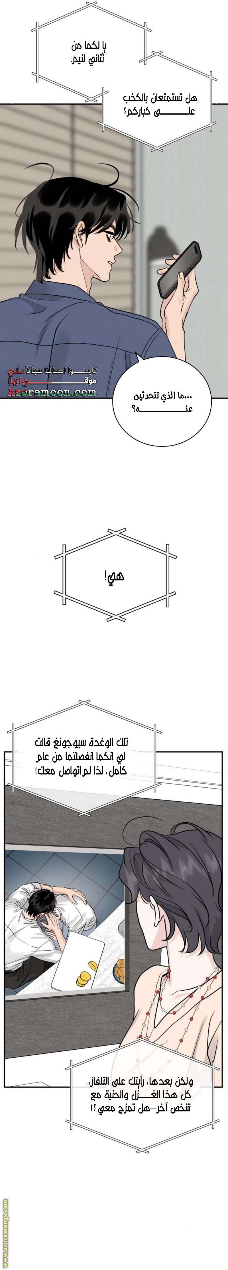 الصفحة 19